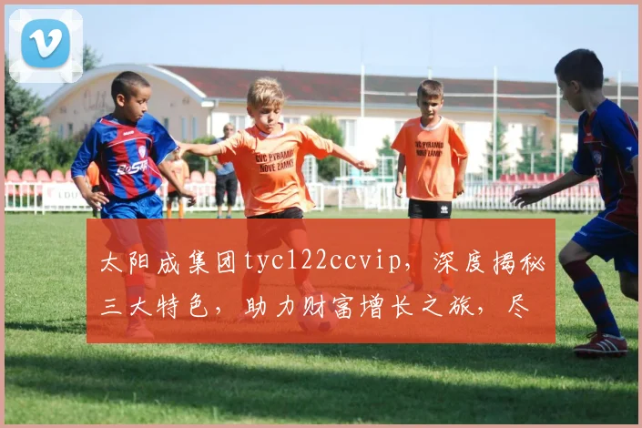 太阳成集团tyc122ccvip,深度揭秘三大特色,助力财富增长之旅,尽享高端体验
